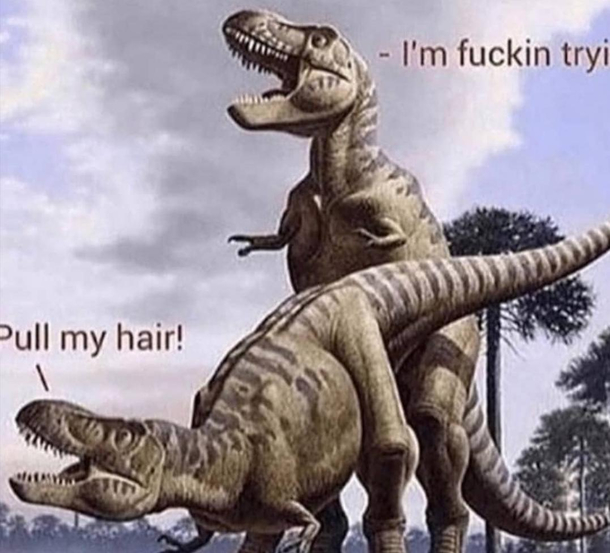 T-Rex problems