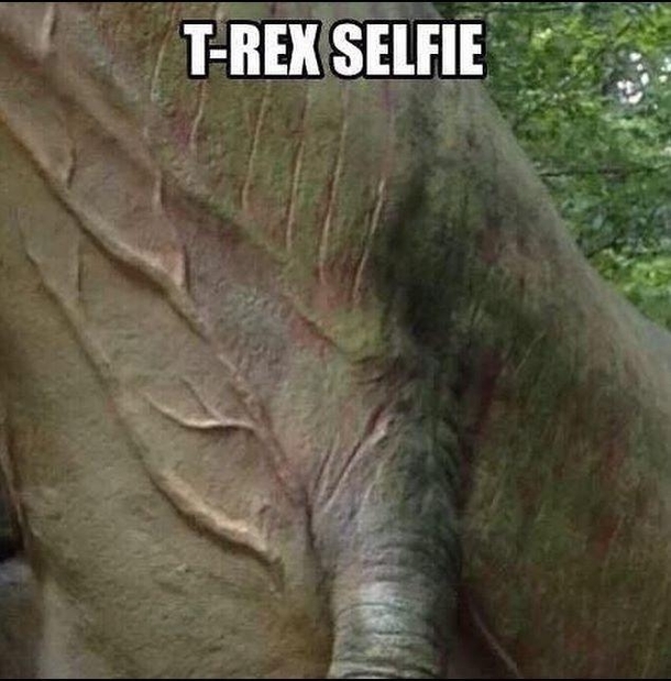 T-Rex Selfie Give the guy a  for effort