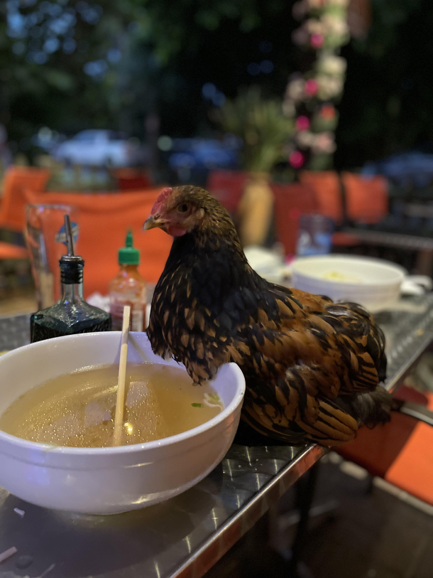 Table for one please