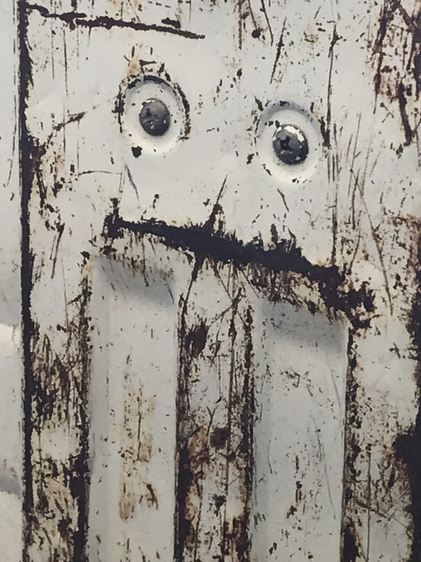 Tailgate has seen somethings