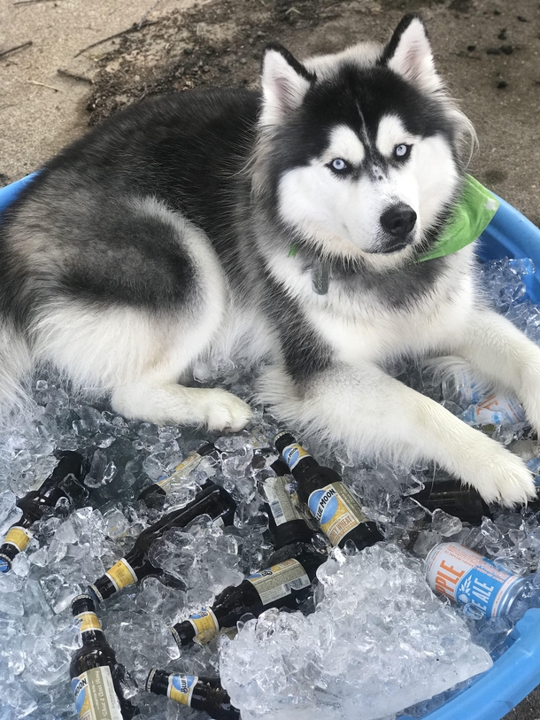 Take a beer if you dare