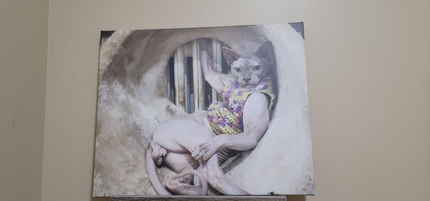 Taking a piss at a cat cafe and this dude watched me the whole time
