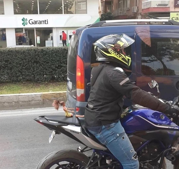 taking his girl to a ride