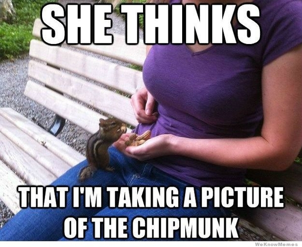 Taking pic of the Chipmunk