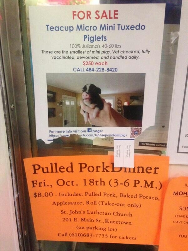 Talk about poor placement