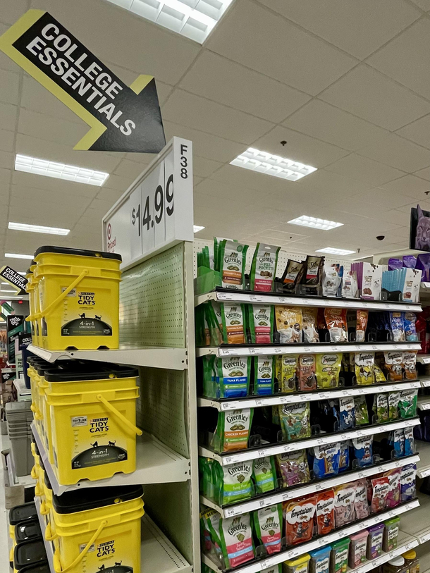 Target anticipating my college needs