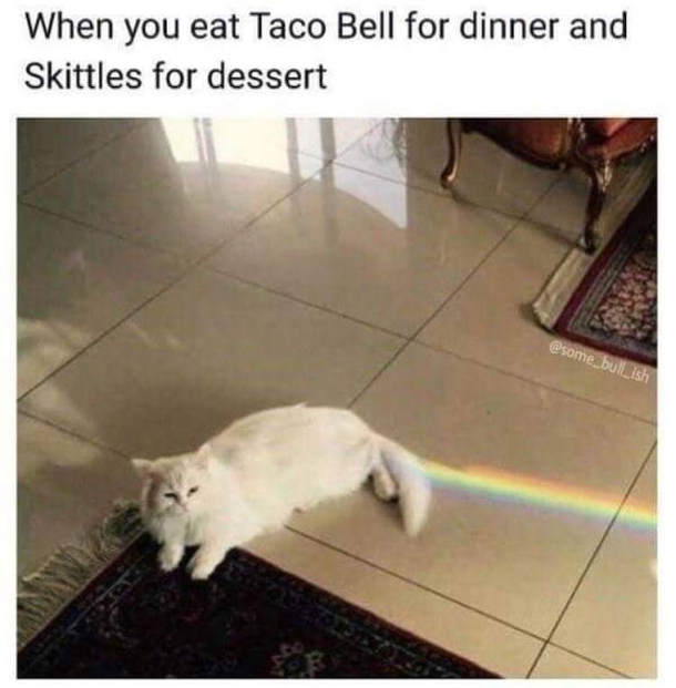 taste the gross rainbow