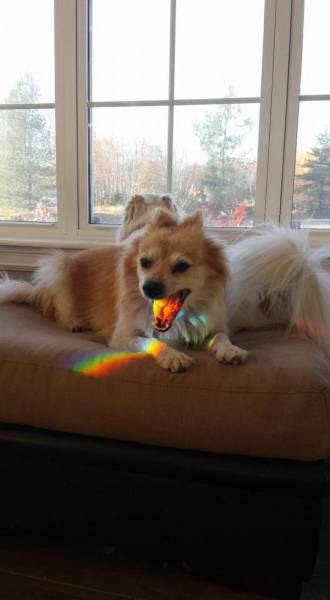 Taste the rainbow
