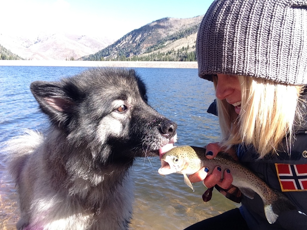 Tastes like chicken