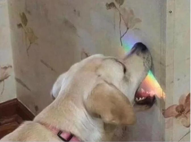 Tasting the rainbow
