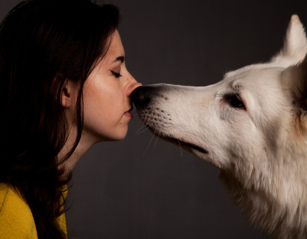 Taught my dog to do boop back It would be cute I thought 