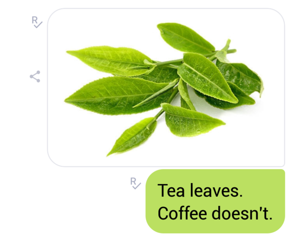 Tea lt Coffee