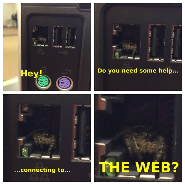 Tech support