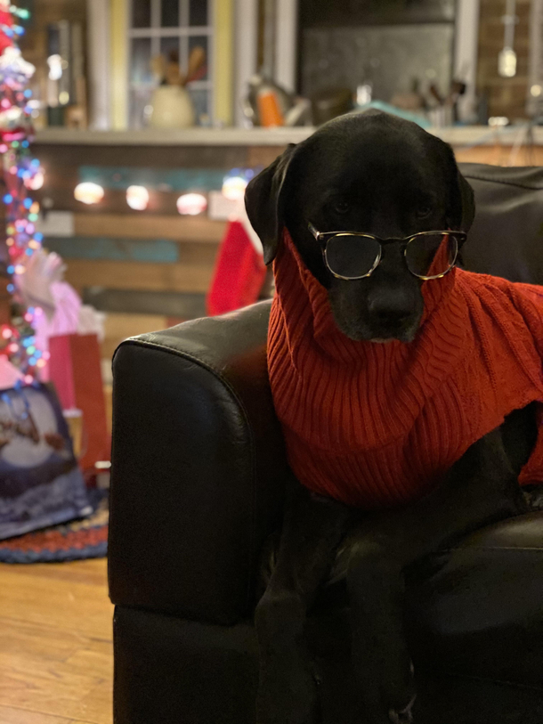 Tell me more about these cookies youre leaving out in a few weeks