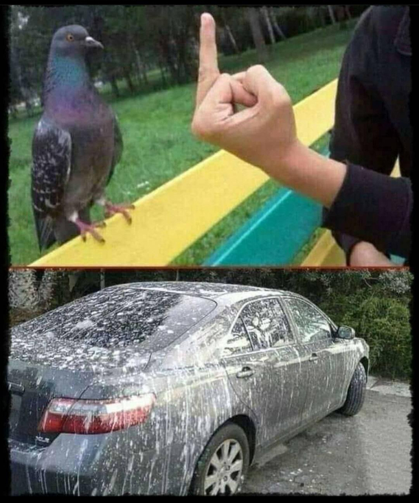 Terrible revenge Hahah