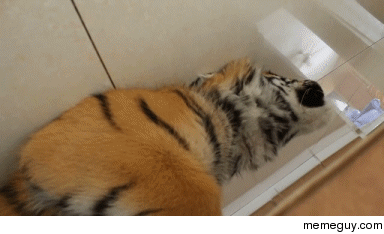 Terrifyingly cute