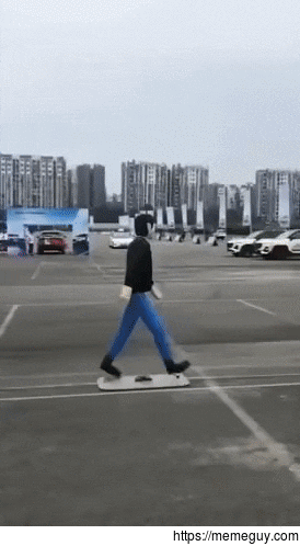 Tesla Model  vs Pedestrian Dummy