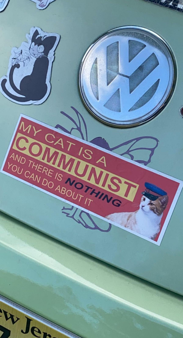 Tf is this bumper sticker 