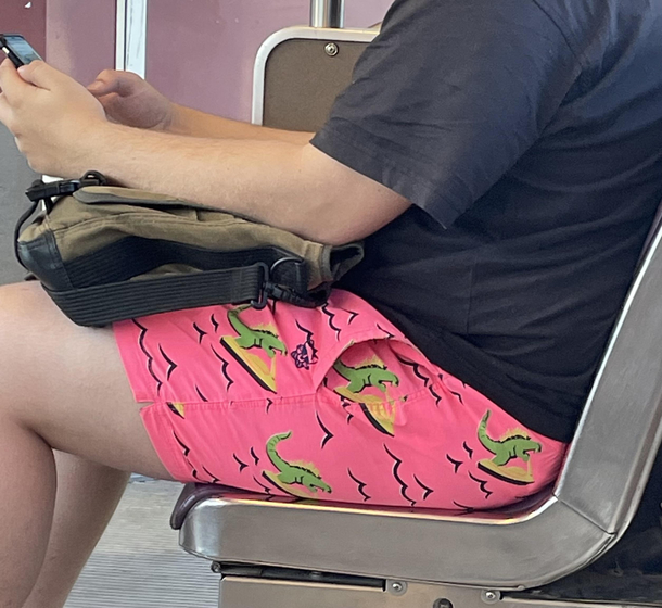 Tgif Its a Godzilla on a jet ski shorts kinda day
