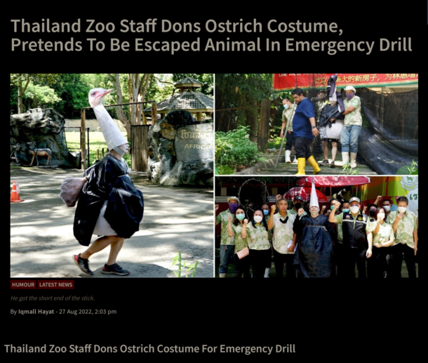 Thailand Zoo Staff Dons Ostrich Costume Pretends To Be Escaped Animal In Emergency Drill