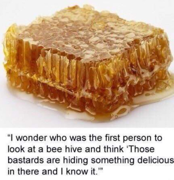 Thank god we looked