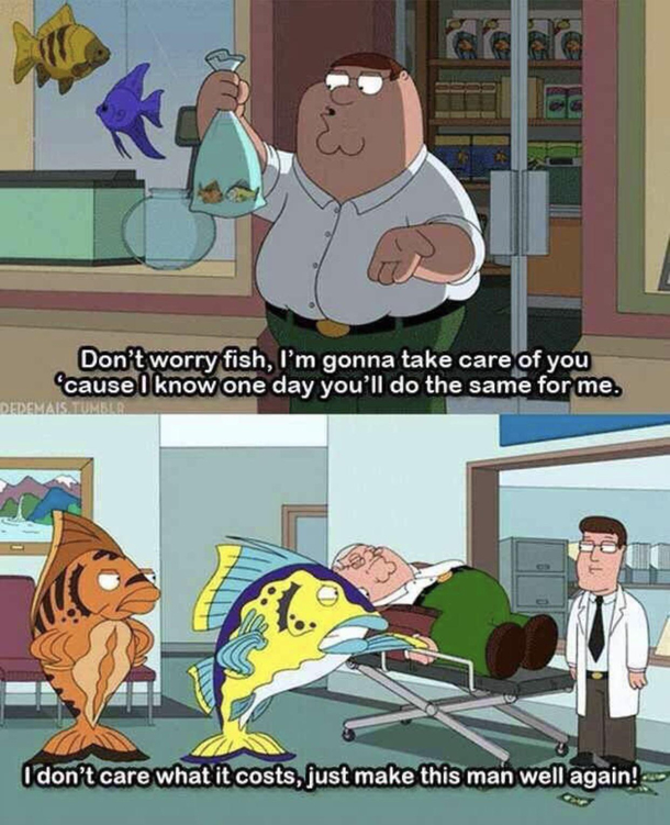 Thank you fish
