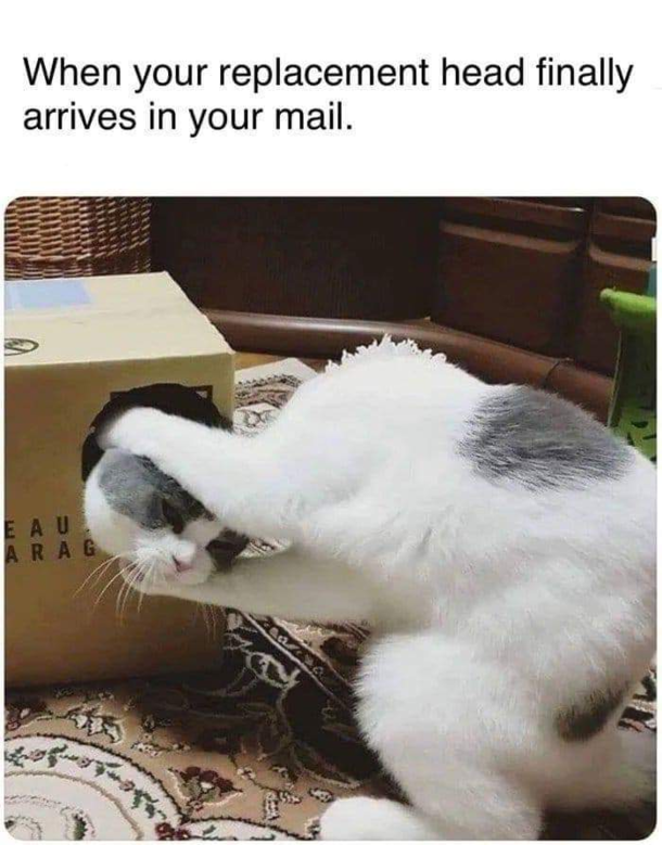 Thank you for ordering
