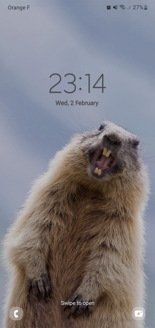 Thank you Microsoft for this odd choice of automatic background