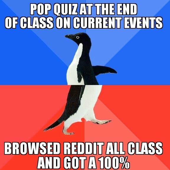 Thank you Reddit you always come through
