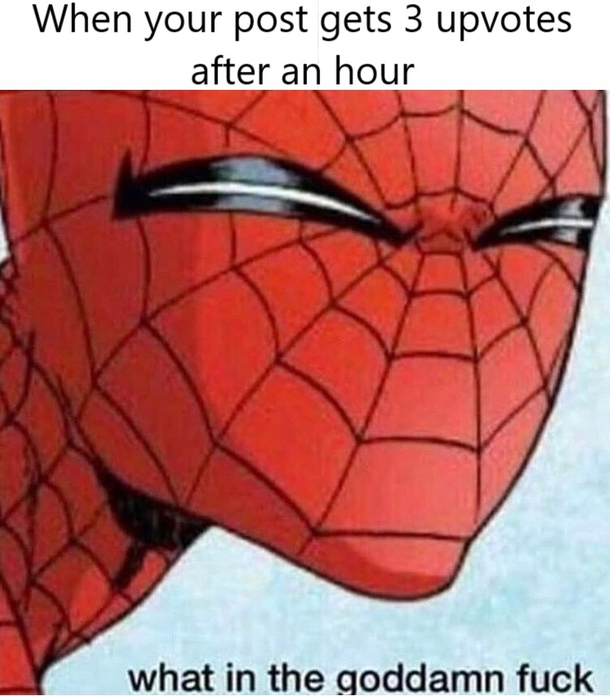THANKS FOR SORTING BY NEW