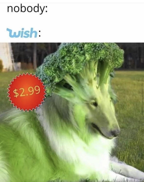 Thanks wish