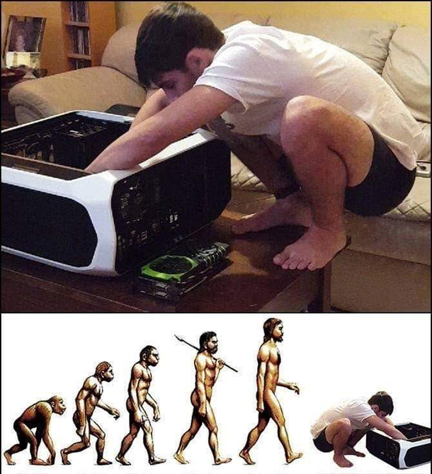 That awkward moment in evolution
