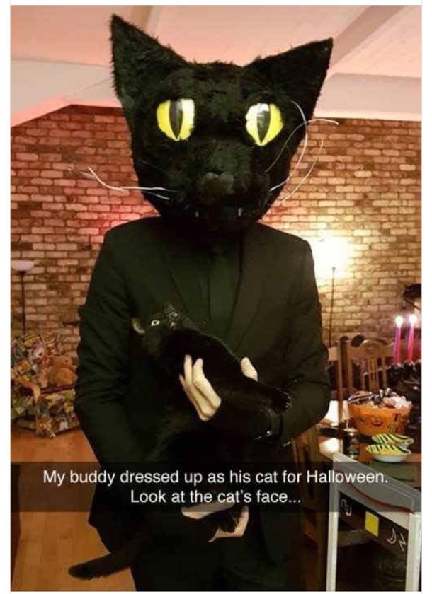 That cat is freaking
