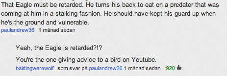That eagle must be retarded