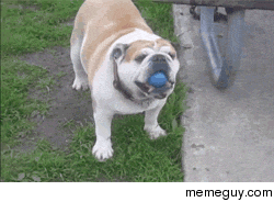 That face
