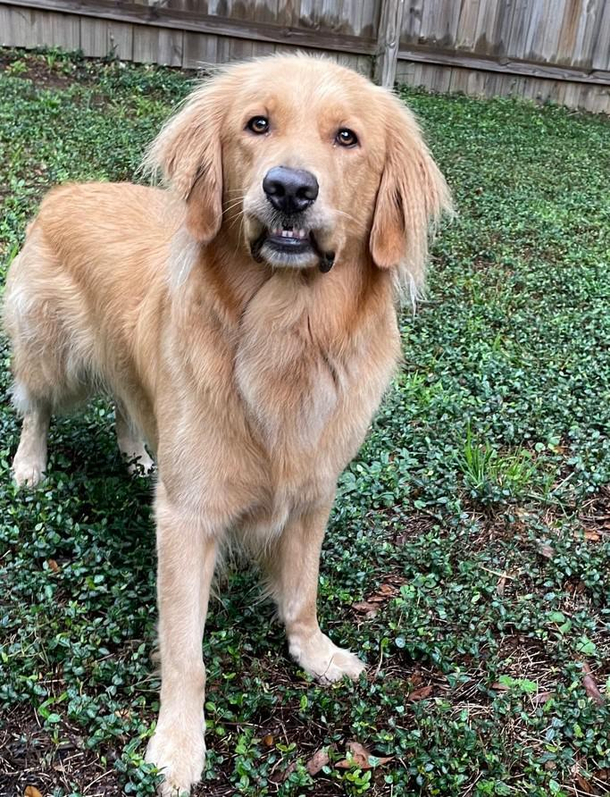 That Friday morning but you still have to make it through the rest of the day smile