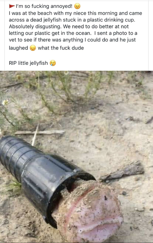 That jellyfish must have been trough a lot