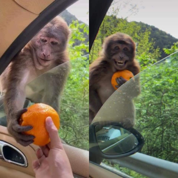 That lovely smile was to say Thank You