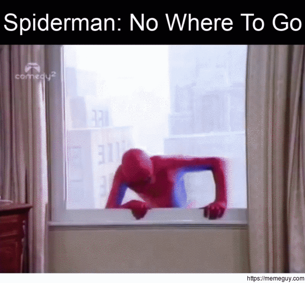 That new Spiderman trailer