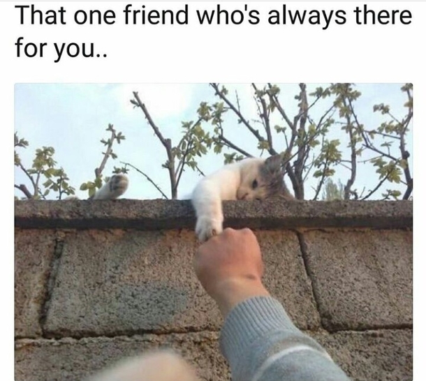 [Image: that-one-friend-whos-always-there-for-you-291624.jpg]