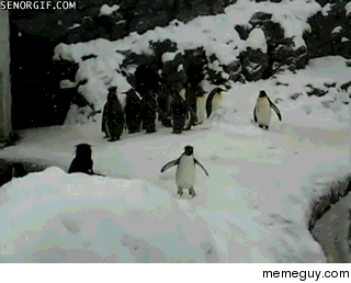That one guy at the show trying to start a circle pit