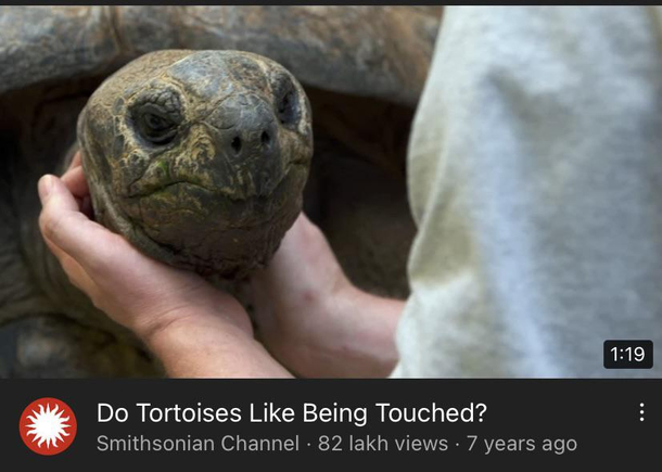 That ones clearly getting flashbacks from  years ago