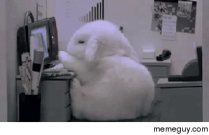 That  pm Feeling
