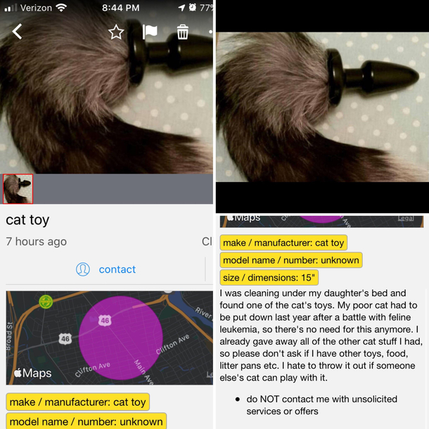 That poor cat