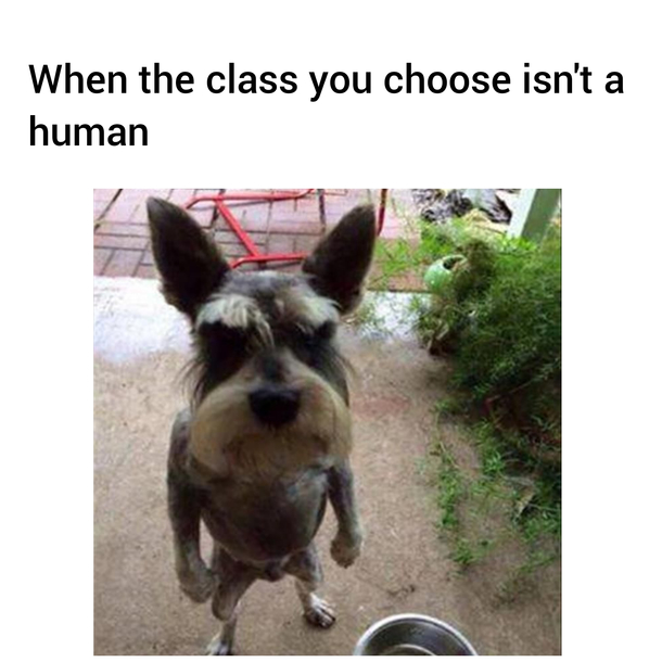 That shit always looks weird