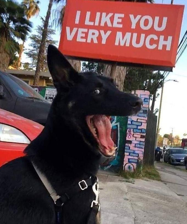 That smile