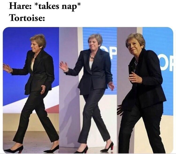That story told shortly