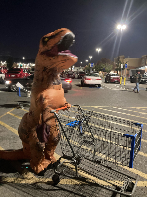 That time I went to Walmart as t-Rex on Halloween Right after this pic was taken two dudes asked if they could take my pic I felt like a celebrity for a minute there It was fun