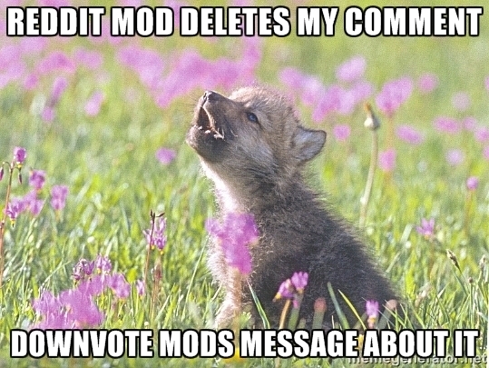 Thatll show em