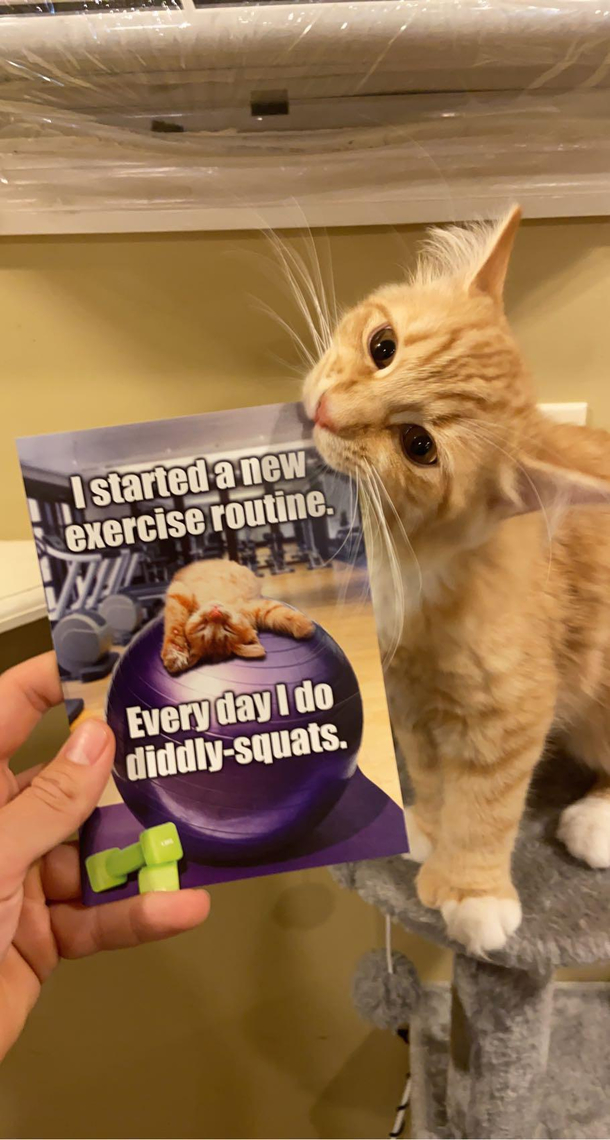 Thats a nice card you got there chomp